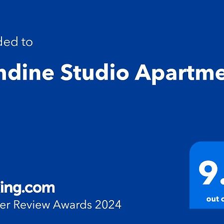 Rondine Studio Apartment Тирана Екстер'єр фото